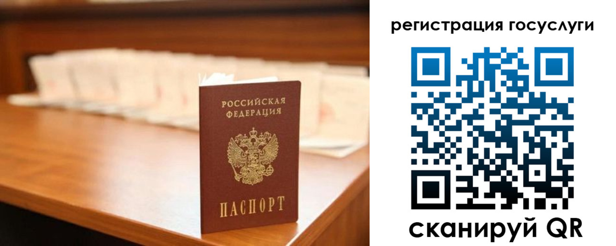прописка в квартире в Богородске